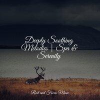 Deeply Soothing Melodies | Spa & Serenity