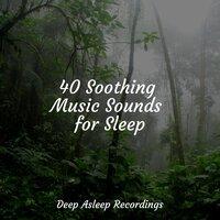 40 Soothing Music Sounds for Sleep