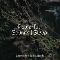 Powerful Sounds | Sleep