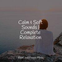 Calm & Soft Sounds | Complete Relaxation