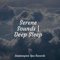 Serene Sounds | Deep Sleep