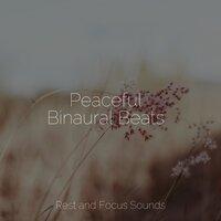 Peaceful Binaural Beats