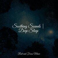 Soothing Sounds | Deep Sleep