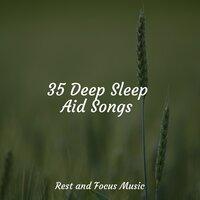 35 Deep Sleep Aid Songs