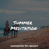 Summer Meditation