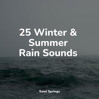 25 Winter & Summer Rain Sounds