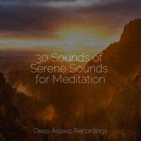 30 Sounds of Serene Sounds for Meditation