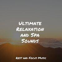 Ultimate Relaxation and Spa Sounds