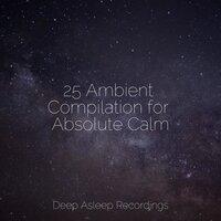 25 Ambient Compilation for Absolute Calm