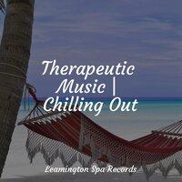 Therapeutic Music | Chilling Out