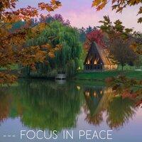 Focus in Peace