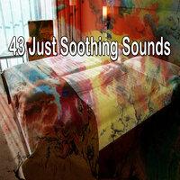 43 Just Soothing Sounds