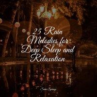 25 Rain Melodies for Deep Sleep and Relaxation
