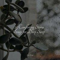 25 Comforting Storm Songs for Deep Sleep