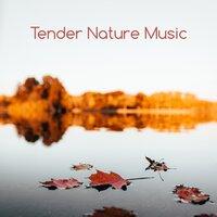 Tender Nature Music