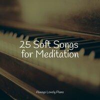 25 Soft Songs for Meditation
