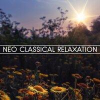 Neo Classical Relaxation