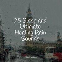 25 Sleep and Ultimate Healing Rain Sounds