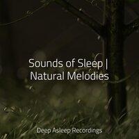 Sounds of Sleep | Natural Melodies