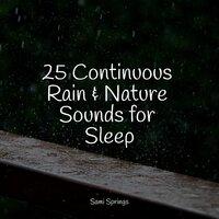 25 Continuous Rain & Nature Sounds for Sleep