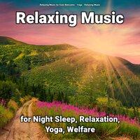 Relaxing Music for Night Sleep, Relaxation, Yoga, Welfare
