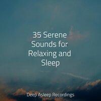 35 Serene Sounds for Relaxing and Sleep