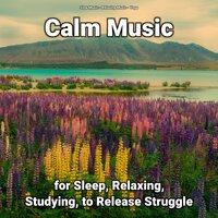 Calm Music for Sleep, Relaxing, Studying, to Release Struggle