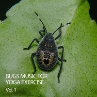 Bugs Music For Yoga Exercise Vol. 1