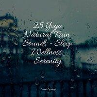 25 Yoga Natural Rain Sounds - Sleep Wellness, Serenity