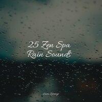 25 Zen Spa Rain Sounds