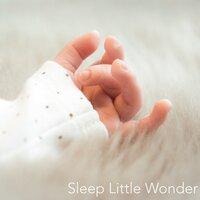 Sleep Little Wonder