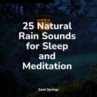 25 Natural Rain Sounds for Sleep and Meditation