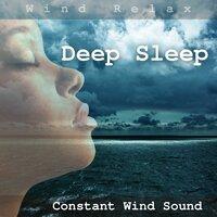 Deep Sleep with Constant Wind Sound