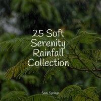 25 Soft Serenity Rainfall Collection