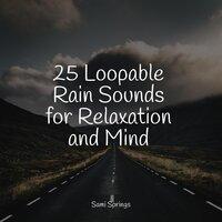 25 Loopable Rain Sounds for Relaxation and Mind