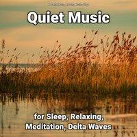 Quiet Music for Sleep, Relaxing, Meditation, Delta Waves