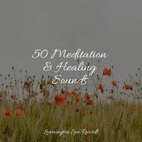 50 Meditation & Healing Sounds