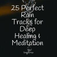 25 Perfect Rain Tracks for Deep Healing & Meditation