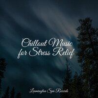 Chillout Music for Stress Relief