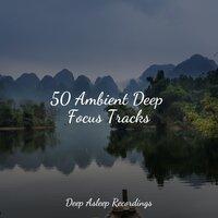 50 Ambient Deep Focus Tracks