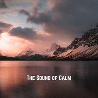 The Sound of Calm