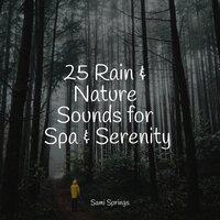 25 Rain & Nature Sounds for Spa & Serenity