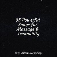 35 Powerful Songs for Massage & Tranquility
