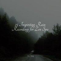 25 Inspiriting Rain Recordings for Zen Spa