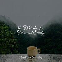 30 Melodies for Calm and Study