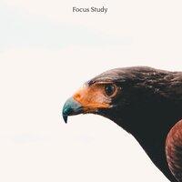 Focus Study