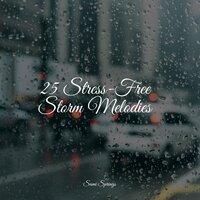 25 Stress-Free Storm Melodies