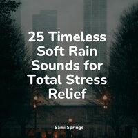 25 Timeless Soft Rain Sounds for Total Stress Relief