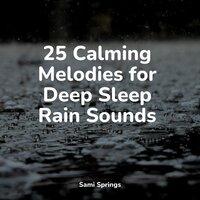 25 Calming Melodies for Deep Sleep Rain Sounds