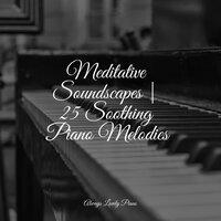 Meditative Soundscapes | 25 Soothing Piano Melodies